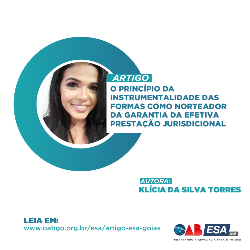 O PRINCÍPIO DA INSTRUMENTALIDADE DAS FORMAS COMO NORTEADOR DA GARANTIA DA EFETIVA PRESTAÇÃO